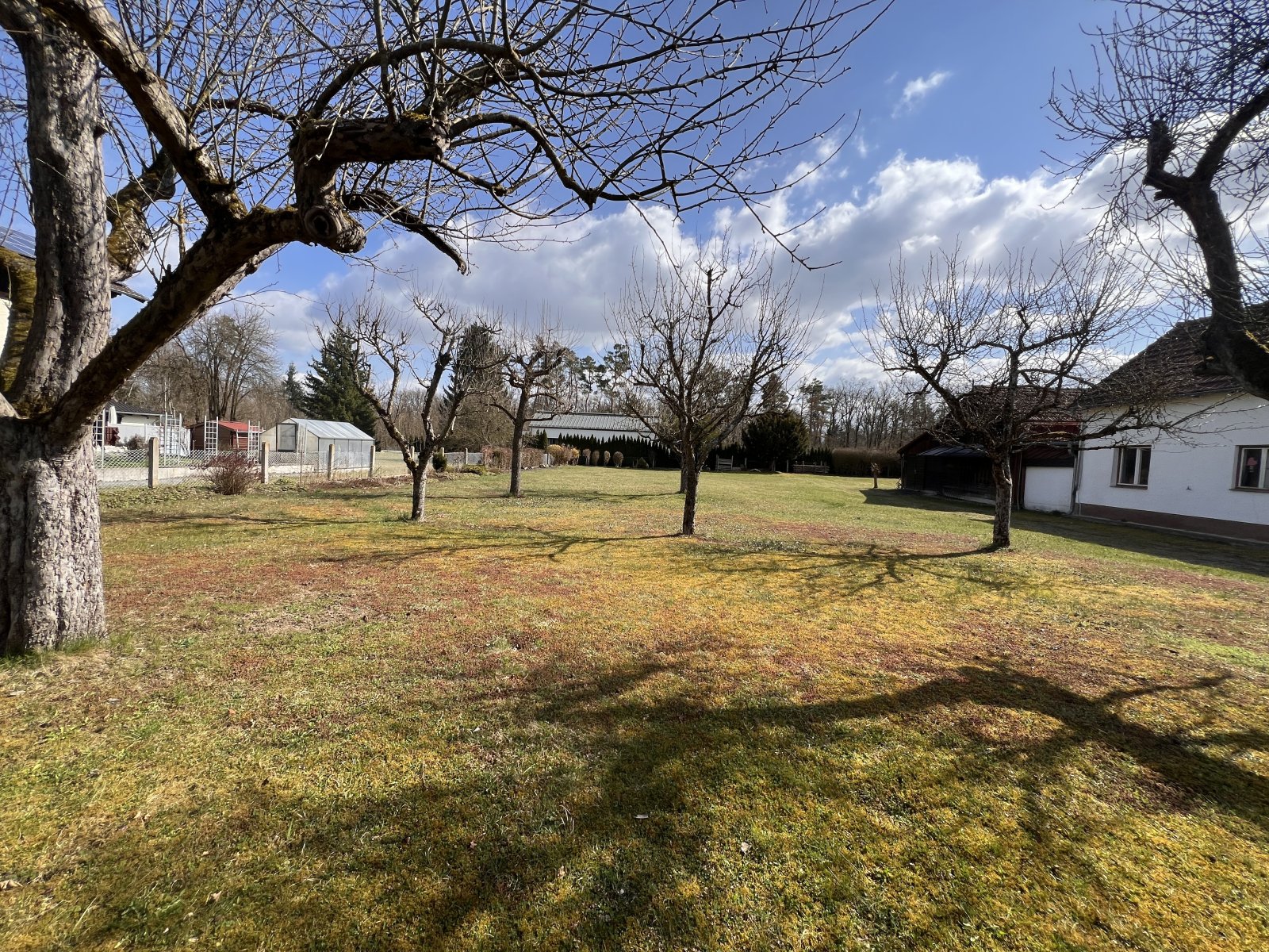 Parkähnliches Grundstück mit etabliertem Baumbestand und vielfältigen Nutzungsmöglichkeiten